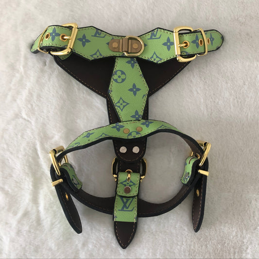 Chewy Vuiton Lime Harness