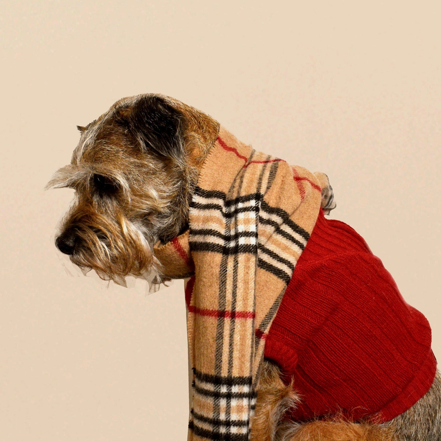 Furberry
