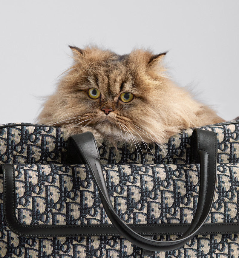 Dior Doge