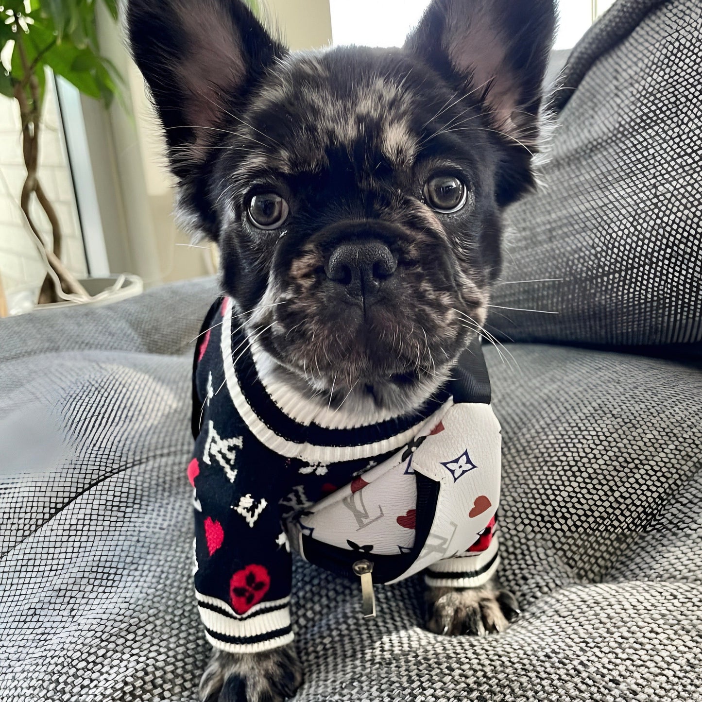 Chewy Vuiton Heart Sweater