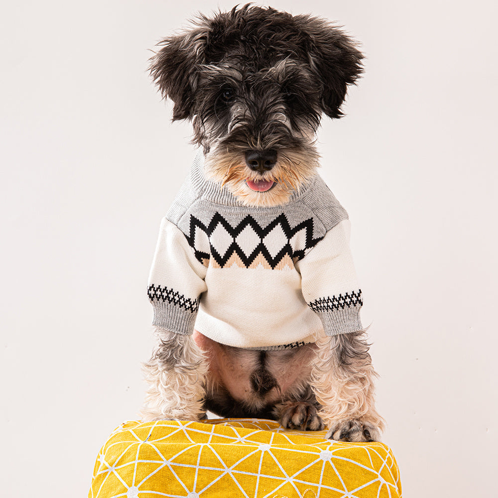 Pawda Icon Sweater