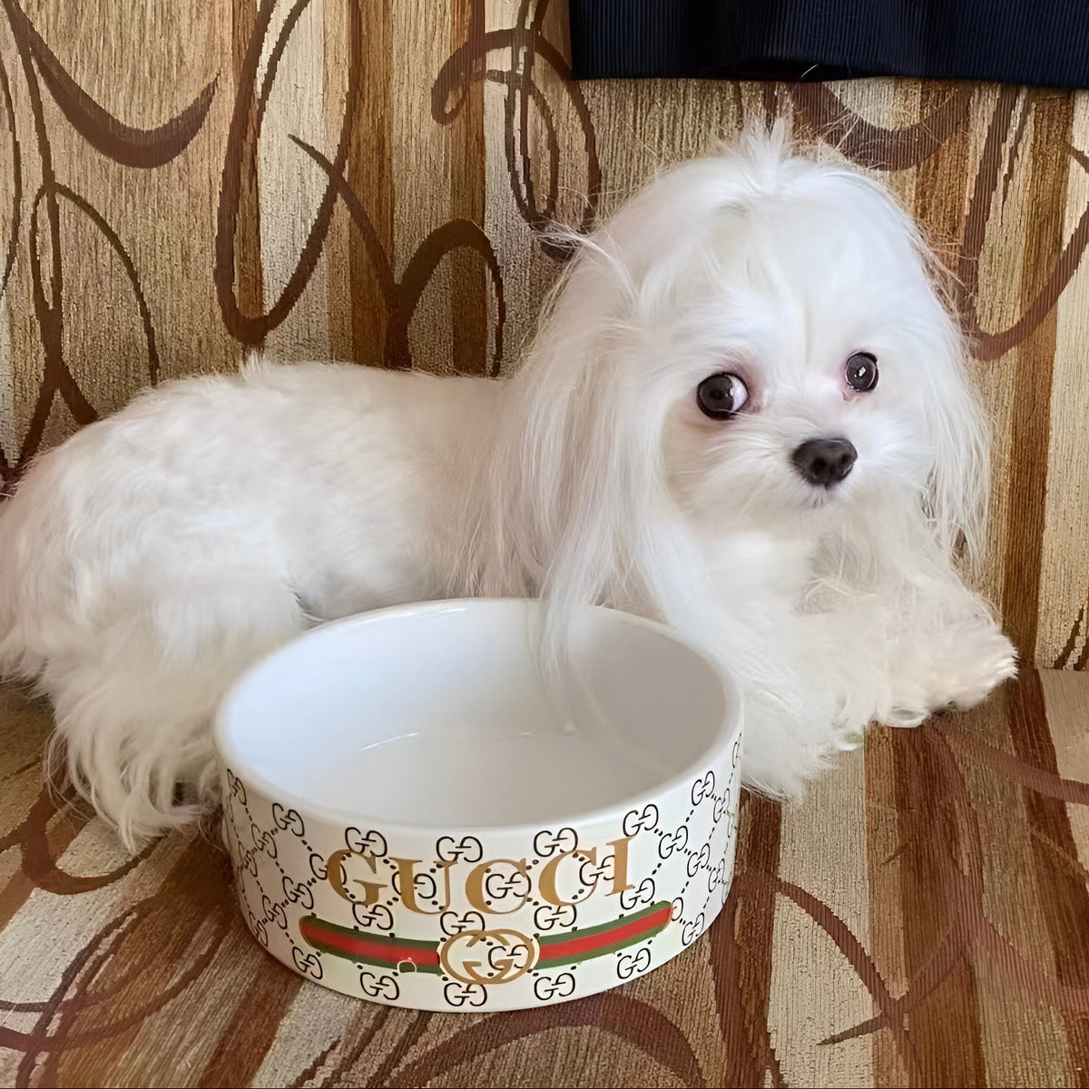 Pucci Ceramic Bowl