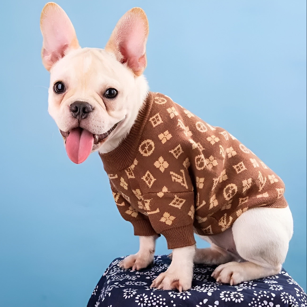 Chewy Vuiton Classic Sweater
