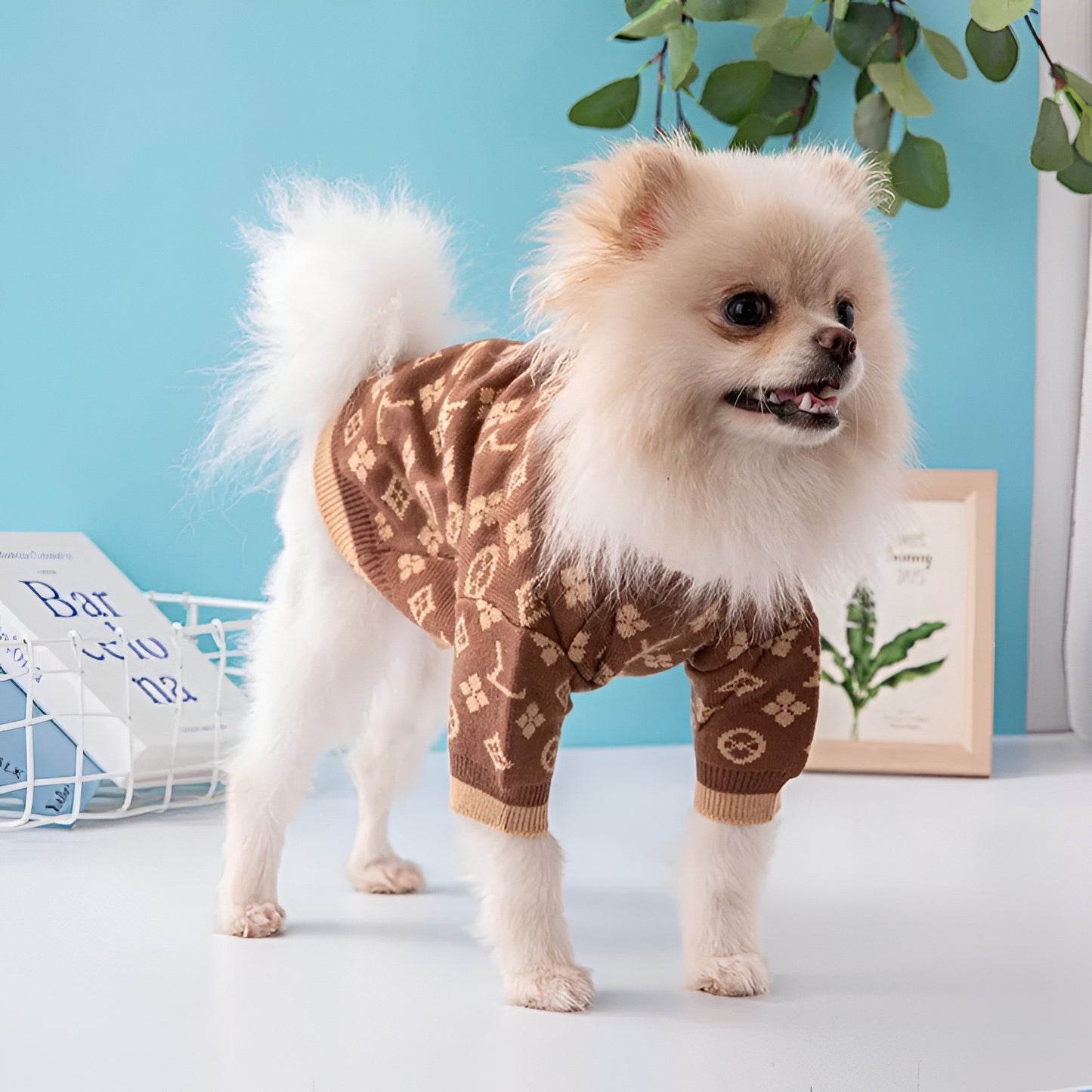 Chewy Vuiton Classic Sweater