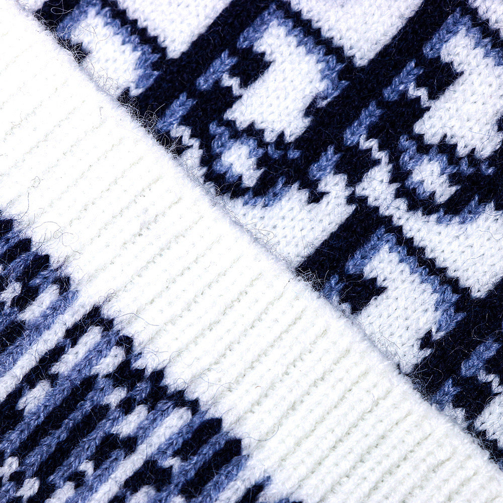 Dior Doge Oblique Sweater