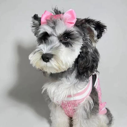 Pawda Satin Bow