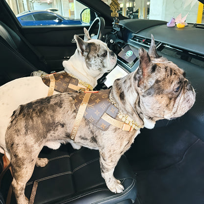 Chewy Vuiton Jacquard Harness & Leash Set