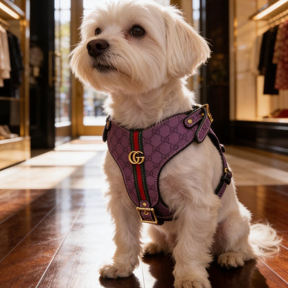 Pucci Viola Harness