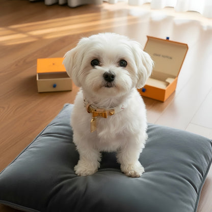Chewy Vuiton Collar & Leash Set