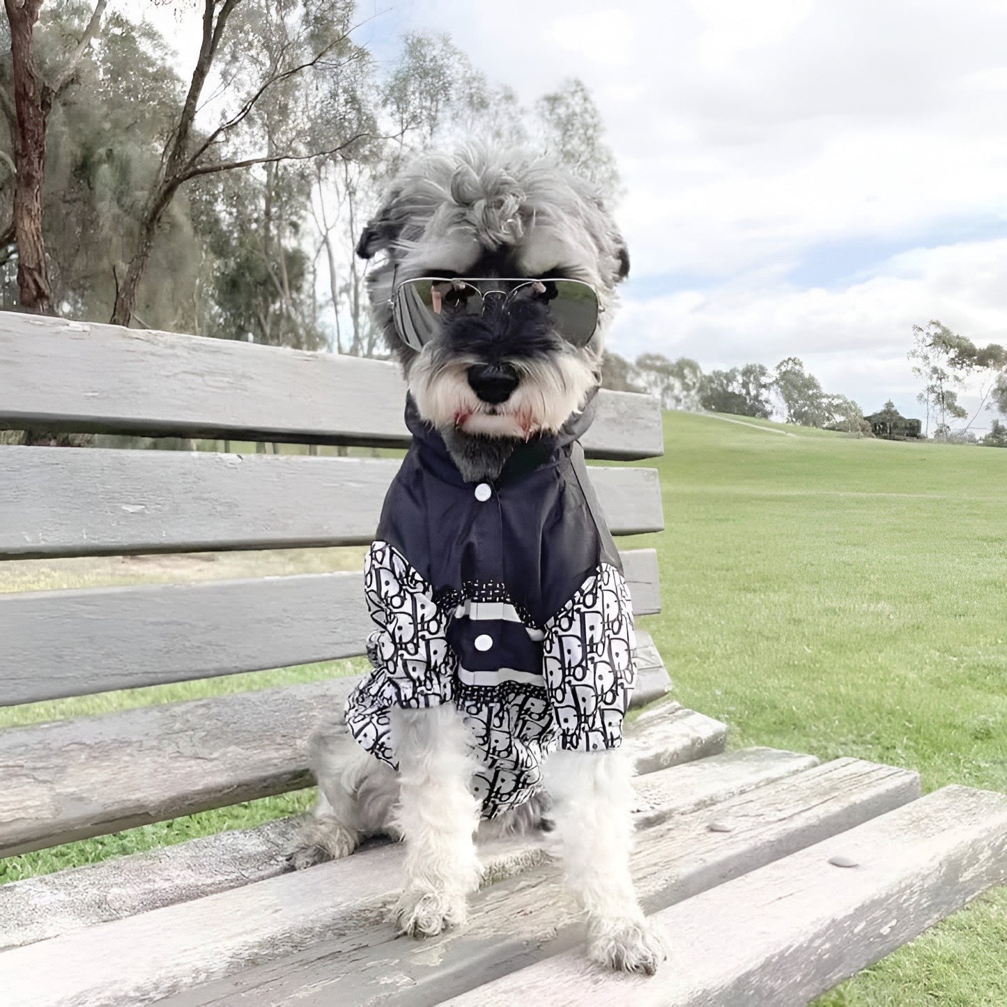 Dior Doge Hooded Jacket