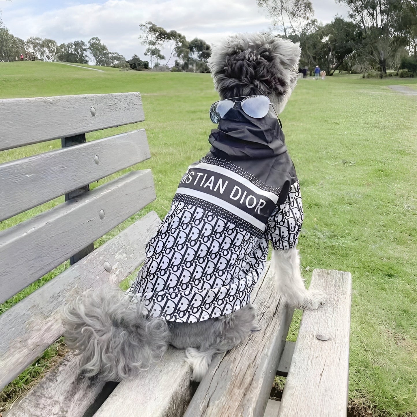 Dior Doge Hooded Jacket