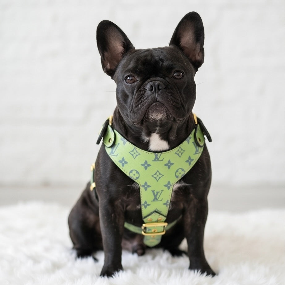 Chewy Vuiton Lime Harness