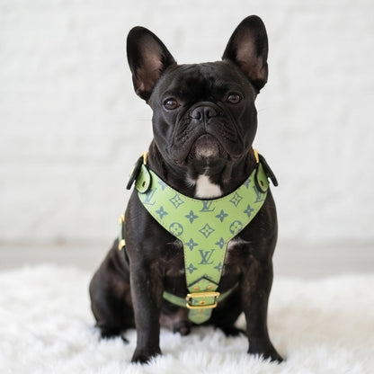 Chewy Vuiton Lime Harness