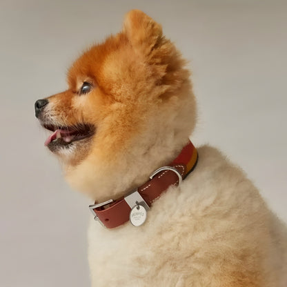 Furmès Collar & Leash Set