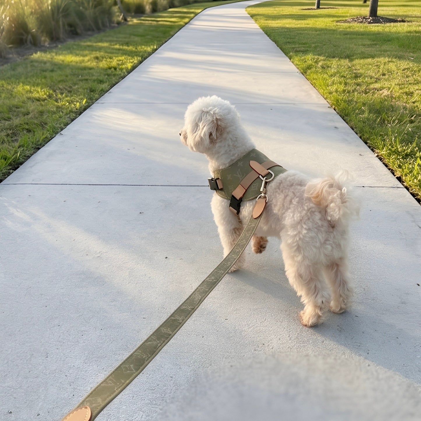 Chewy Vuiton Olive Harness & Leash Set