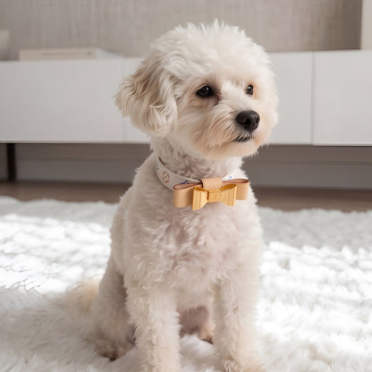 Chewy Vuiton Multicolore Collar & Leash Set