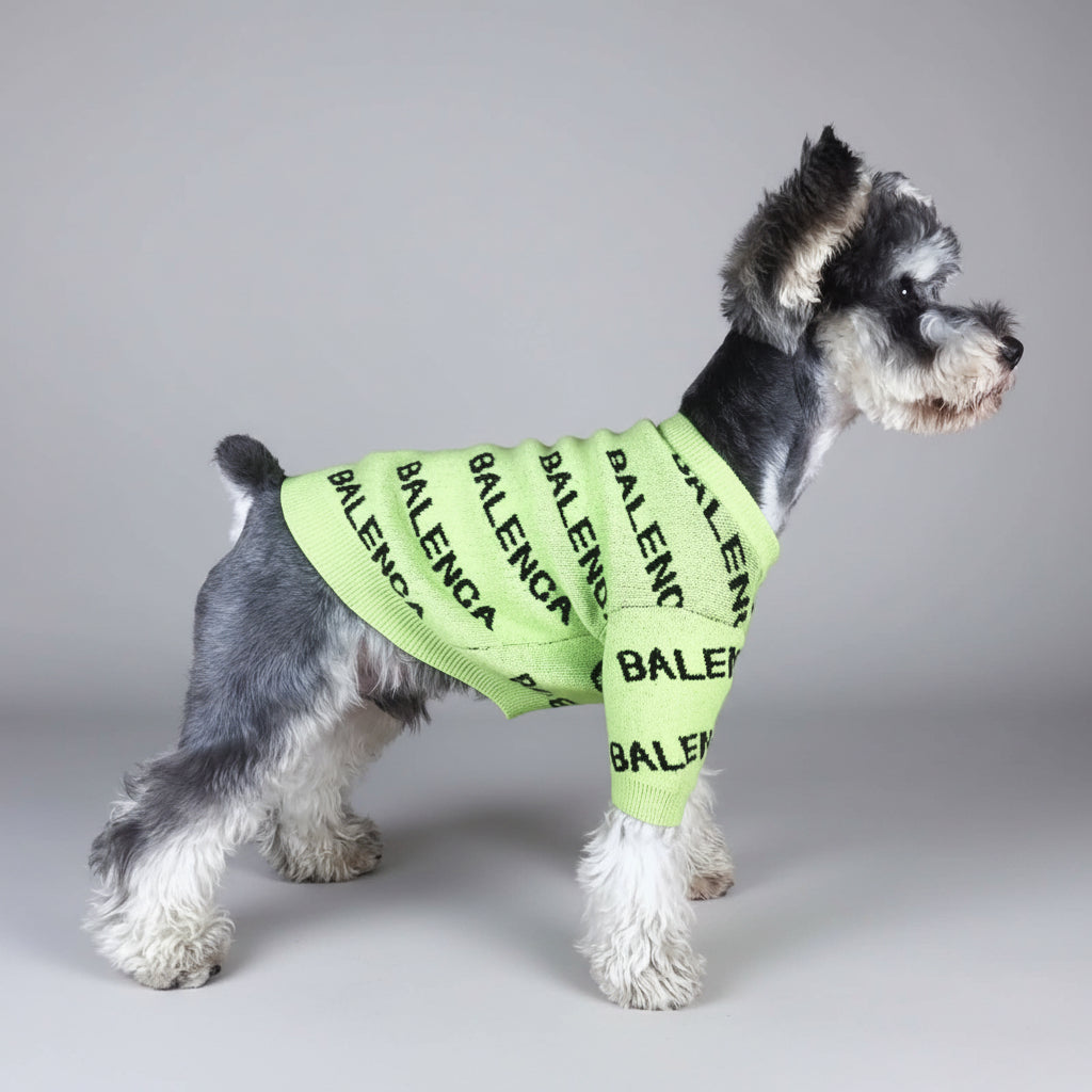 Pawlenciaga Lime Sweater